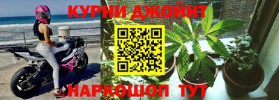 прущие грибы Краснодар