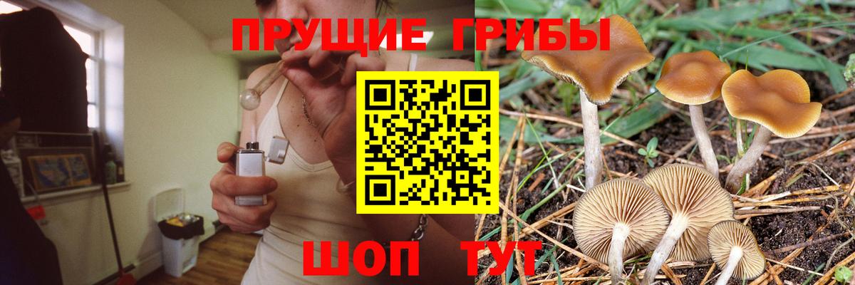 Электросталь  Псилоцибиновые грибы Magic Shrooms  Вход с VPN 